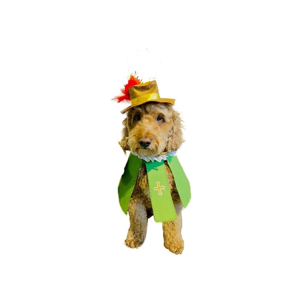 Handmade Dog/Pet Musketeer 3 Musketeers Crusader Costume Size M